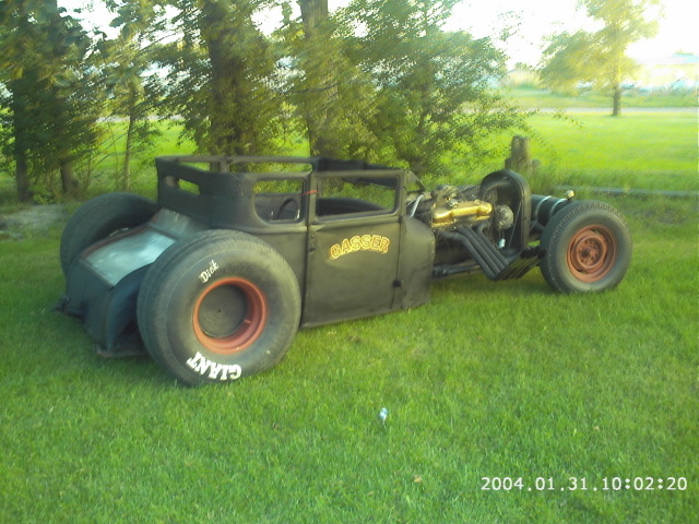 gasser t