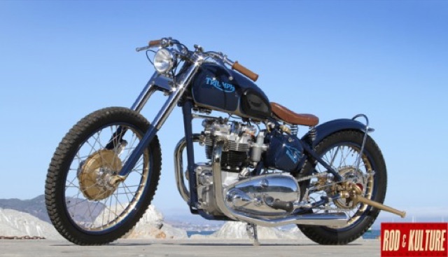 Bryan’s Blue Bird