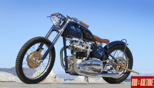 Bryan’s Blue Bird